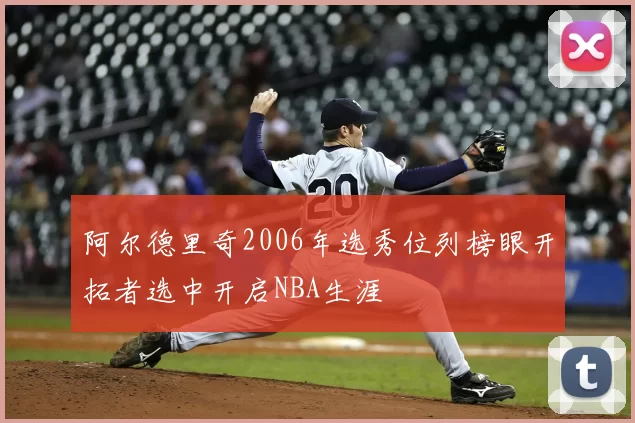 阿尔德里奇2006年选秀位列榜眼开拓者选中开启NBA生涯