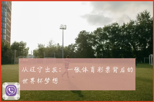 从辽宁出发:一张体育彩票背后的世界杯梦想
