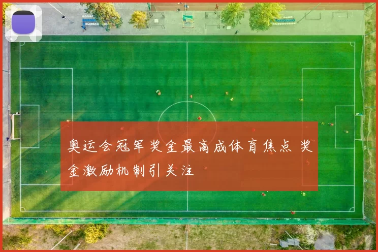 奥运会冠军奖金最高成体育焦点 奖金激励机制引关注