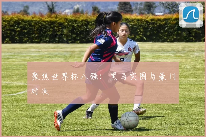 聚焦世界杯八强：黑马突围与豪门对决