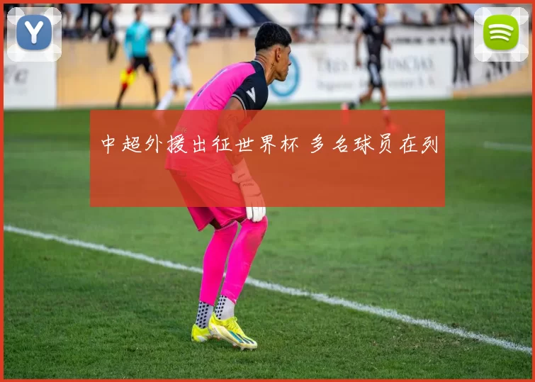 中超外援出征世界杯 多名球员在列