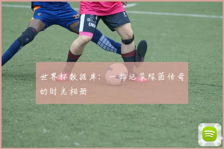 世界杯数据库:一部记录绿茵传奇的时光相册