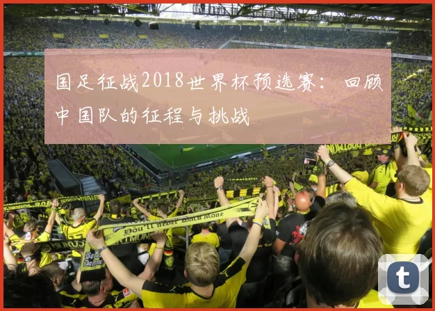 国足征战2018世界杯预选赛：回顾中国队的征程与挑战