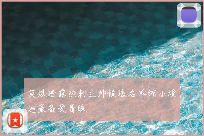 英媒透露热刺主帅候选名单缩小埃迪豪备受青睐