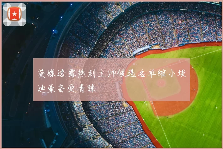 英媒透露热刺主帅候选名单缩小埃迪豪备受青睐