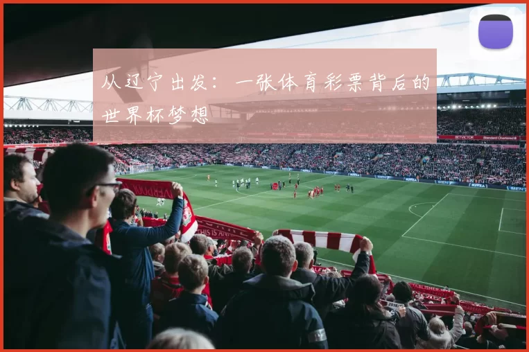 从辽宁出发:一张体育彩票背后的世界杯梦想