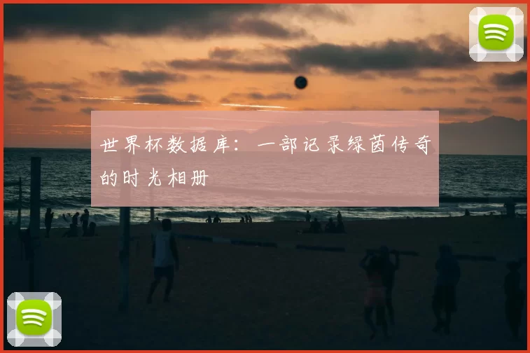 世界杯数据库:一部记录绿茵传奇的时光相册