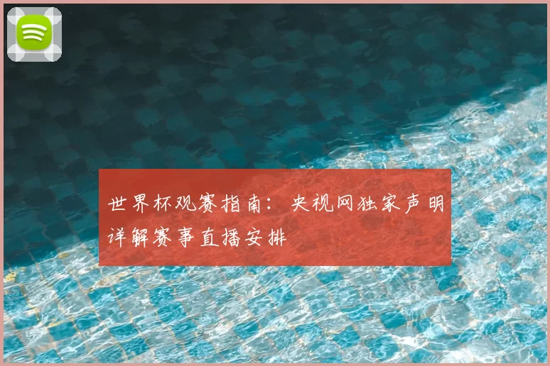 世界杯观赛指南：央视网独家声明详解赛事直播安排