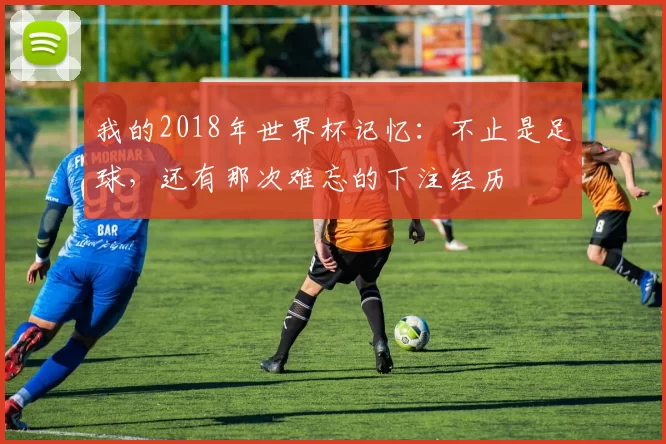 我的2018年世界杯记忆:不止是足球,还有那次难忘的下注经历