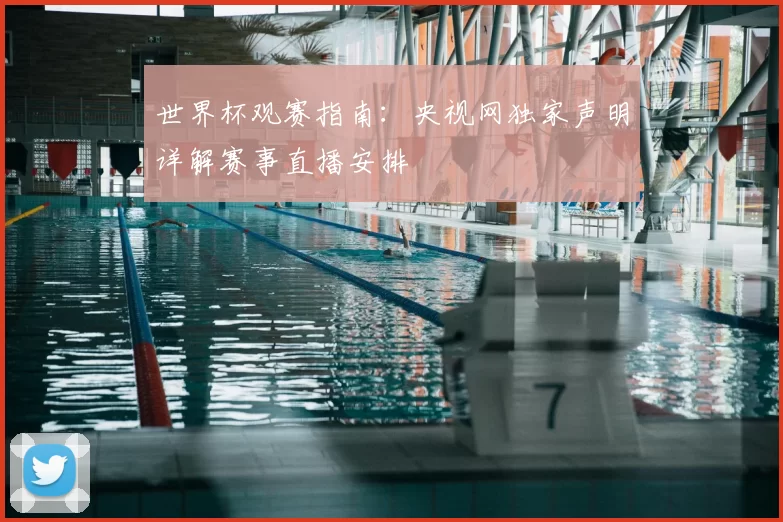 世界杯观赛指南：央视网独家声明详解赛事直播安排