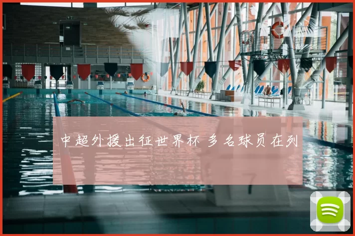 中超外援出征世界杯 多名球员在列