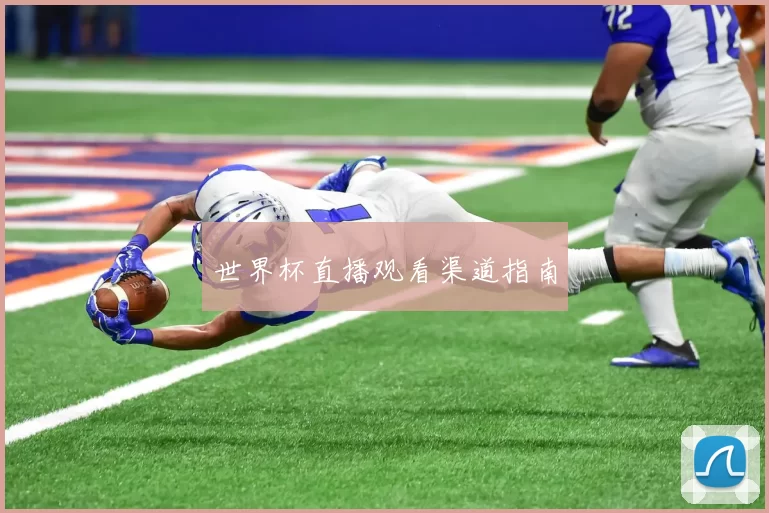 世界杯直播观看渠道指南