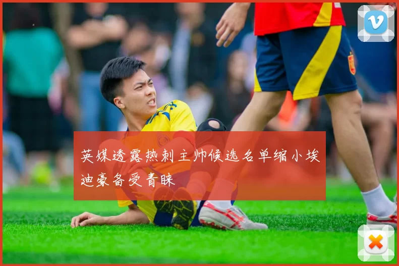英媒透露热刺主帅候选名单缩小埃迪豪备受青睐