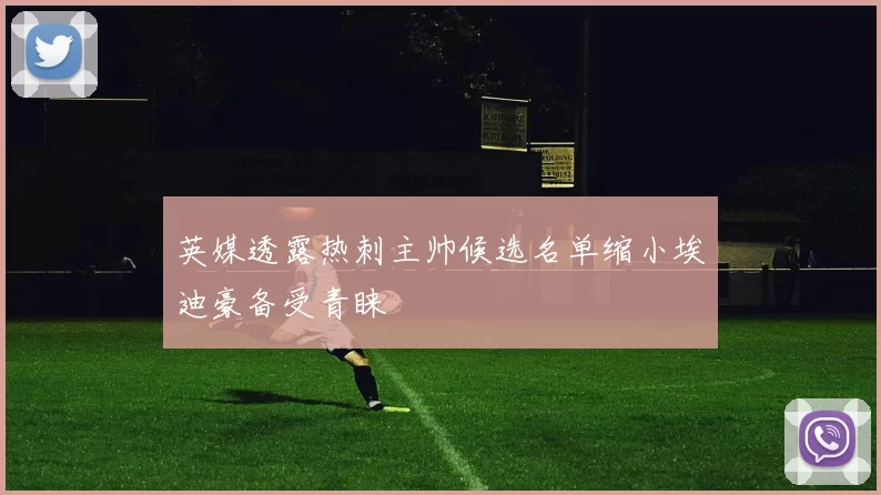 英媒透露热刺主帅候选名单缩小埃迪豪备受青睐