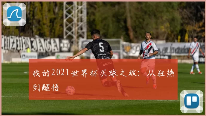 我的2021世界杯买球之旅:从狂热到醒悟